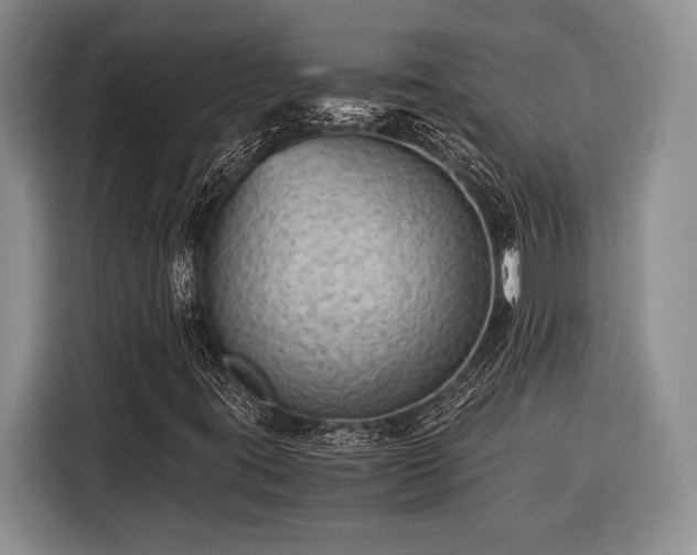X0000116391395200912091425