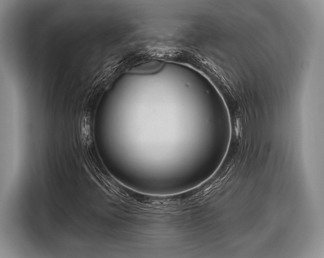 X0000116391396200912091425