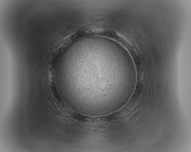 X0000116391397200912091425