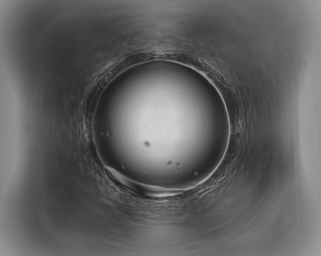 X0000116391398200912091425