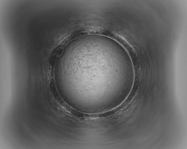 X0000116391399200912091425