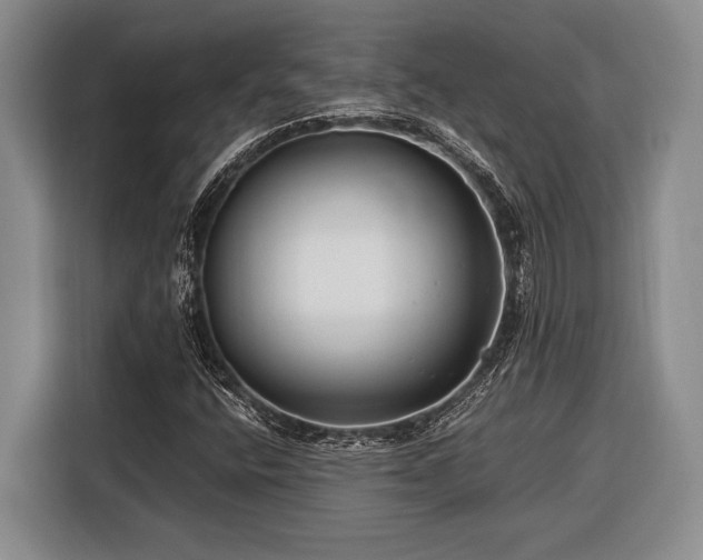 X0000116391400200912091425