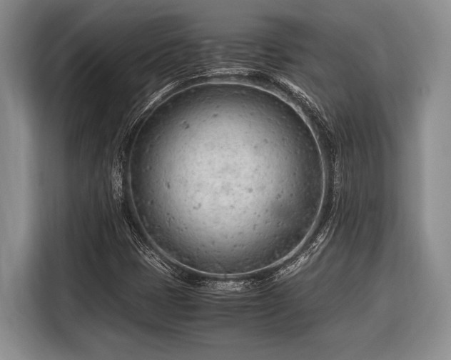 X0000116391401200912091425