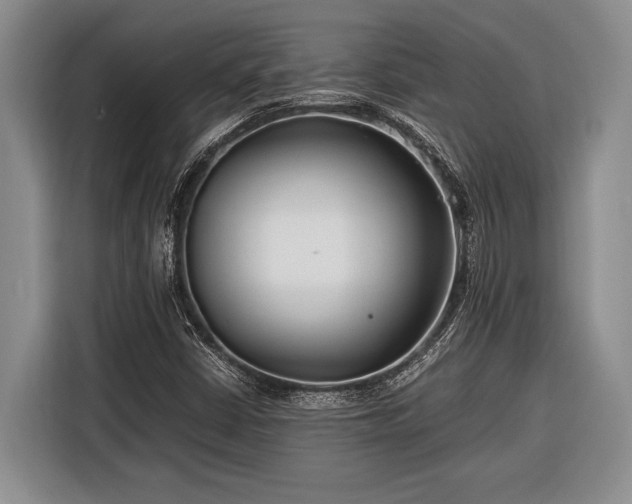 X0000116391402200912091425