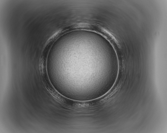 X0000116391403200912091425