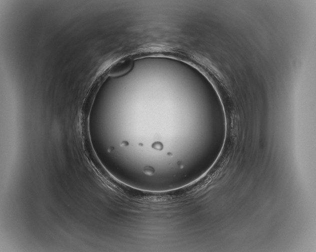 X0000116391404200912091425