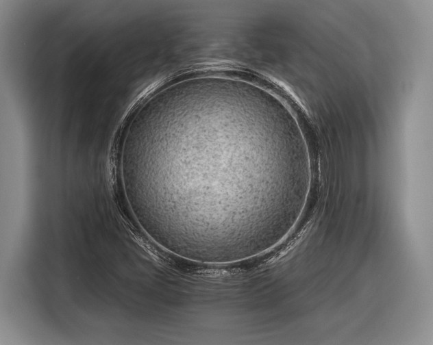X0000116391405200912091425