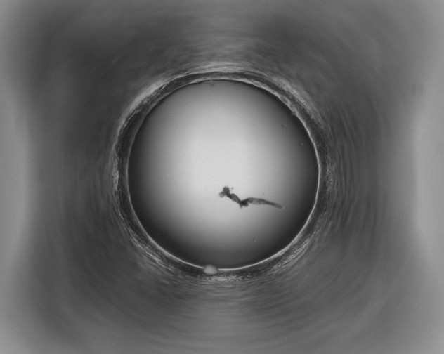 X0000116391406200912091425