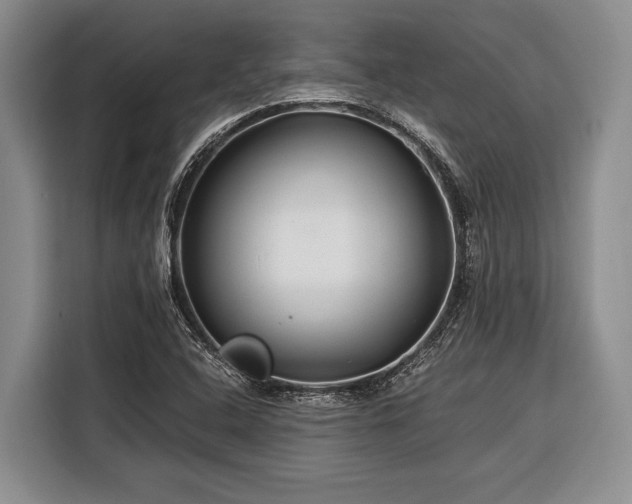 X0000116391408200912091425