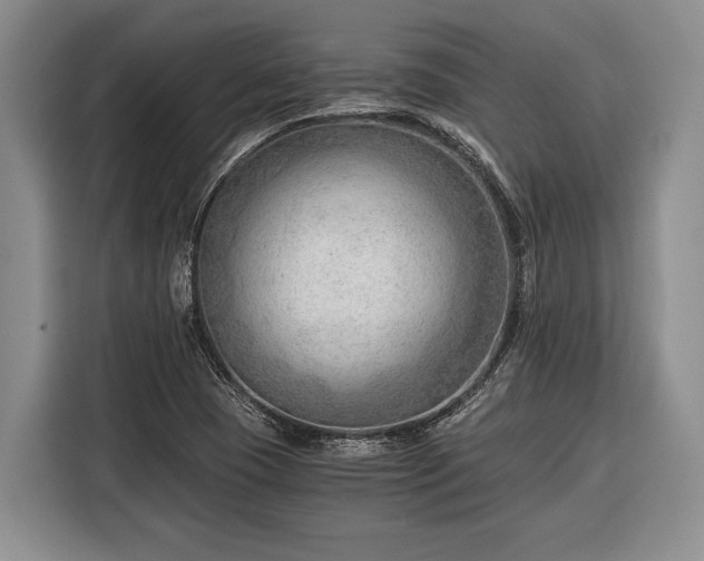 X0000116391409200912091425