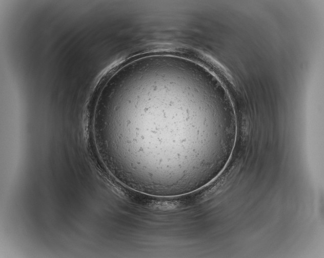 X0000116391411200912091425