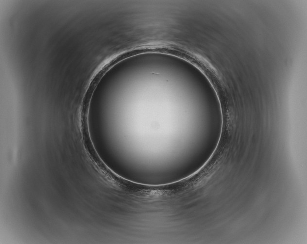 X0000116391412200912091425