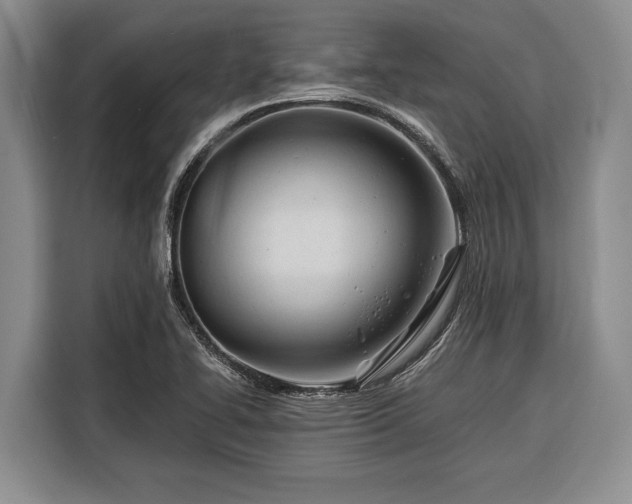 X0000116391414200912091425