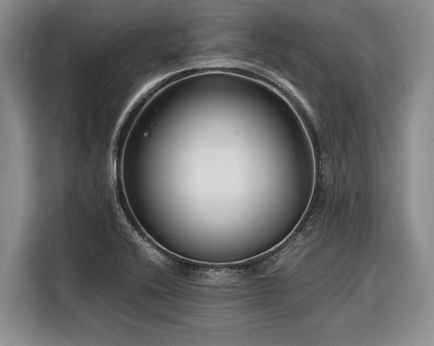 X0000116391416200912091425
