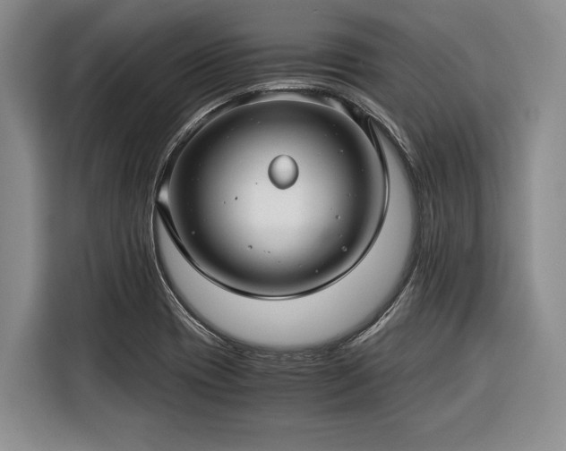 X0000116391417200912091425