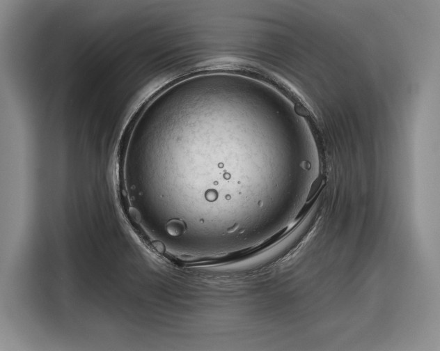 X0000116391418200912091425