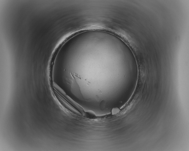 X0000116391422200912091425