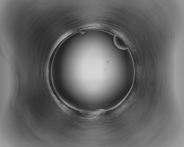 X0000116391426200912091425