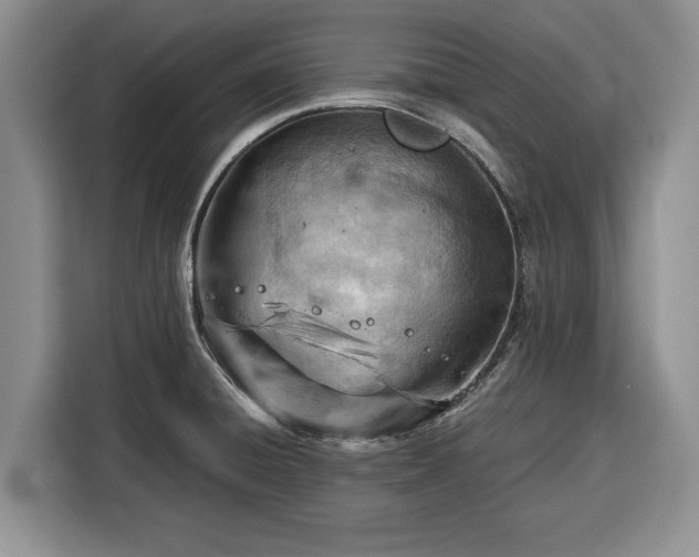 X0000116391428200912091425