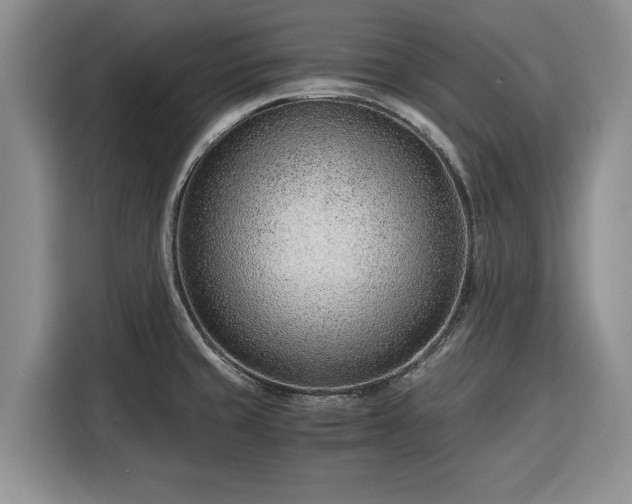 X0000116391429200912091425