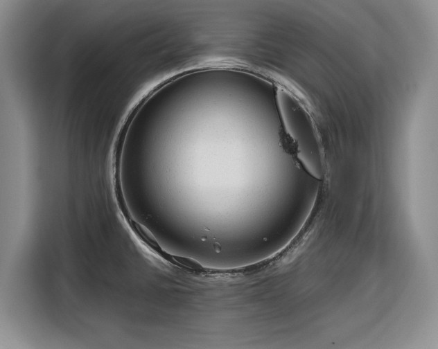 X0000116391430200912091425