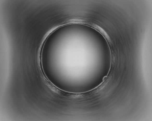X0000116391435200912091426