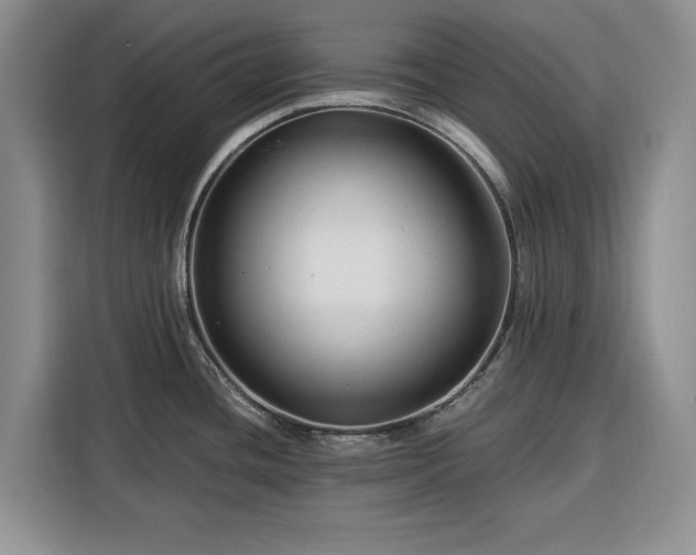 X0000116391436200912091426