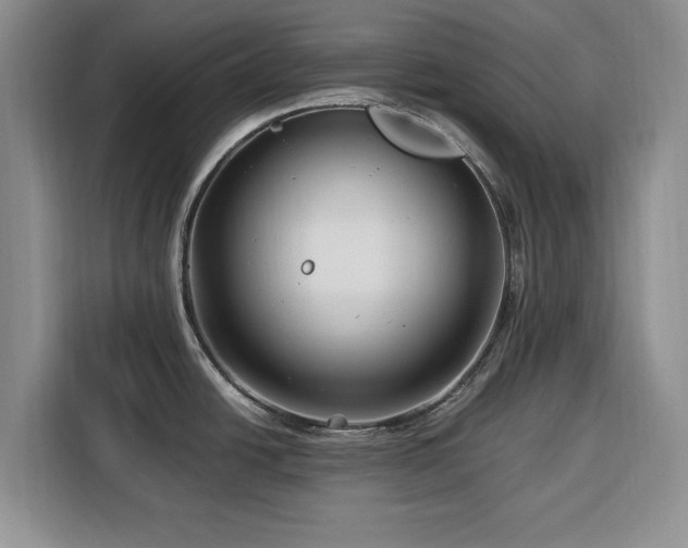 X0000116391438200912091426