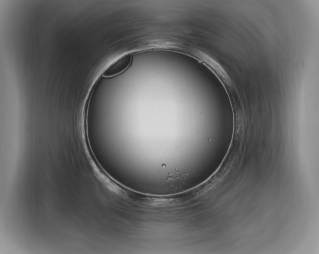 X0000116391439200912091426
