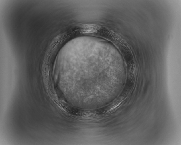 X0000116391441200912091425