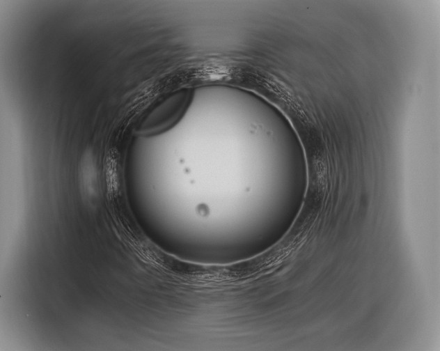X0000116391442200912091425
