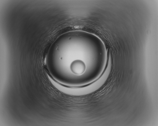 X0000116391443200912091425