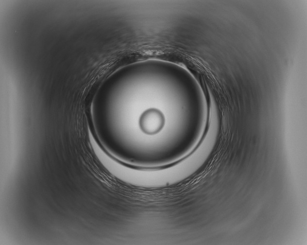 X0000116391444200912091425