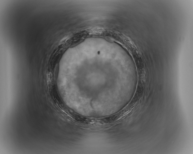 X0000116391445200912091425