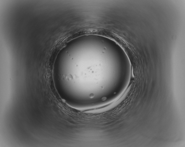 X0000116391447200912091425