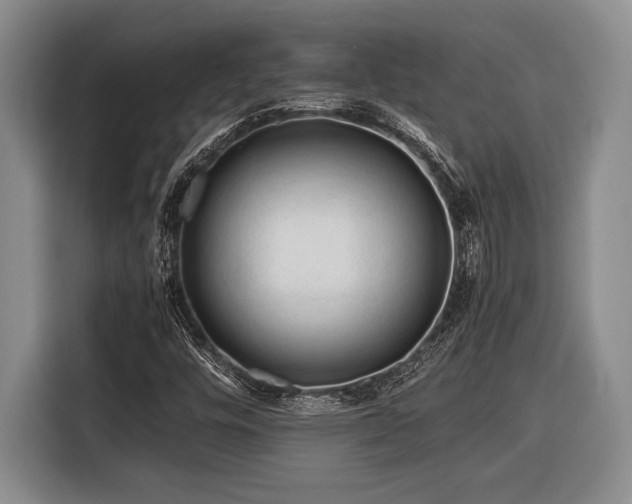 X0000116391448200912091425