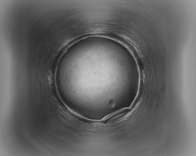 X0000116391449200912091425