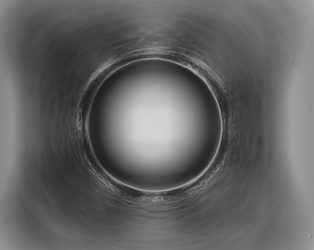 X0000116391450200912091425