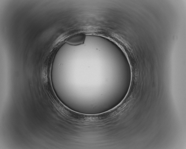 X0000116391451200912091425