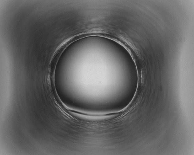 X0000116391452200912091425