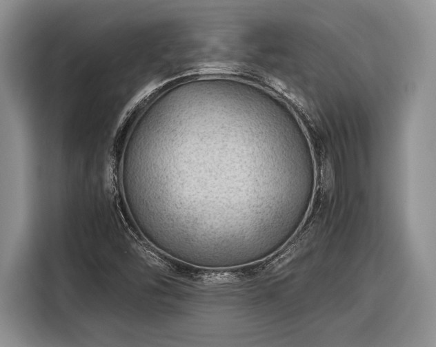 X0000116391454200912091425