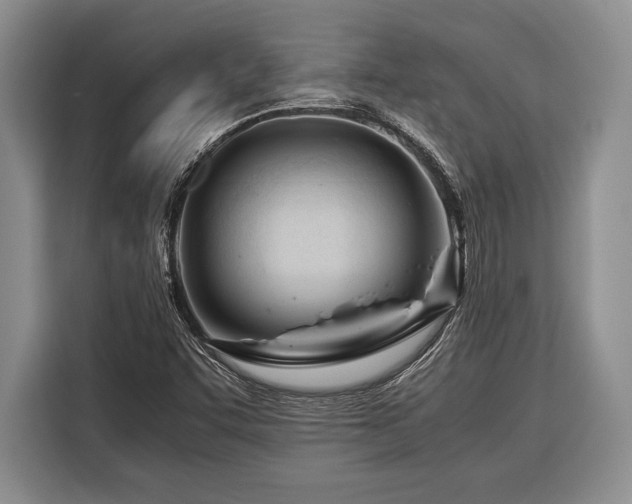 X0000116391455200912091425