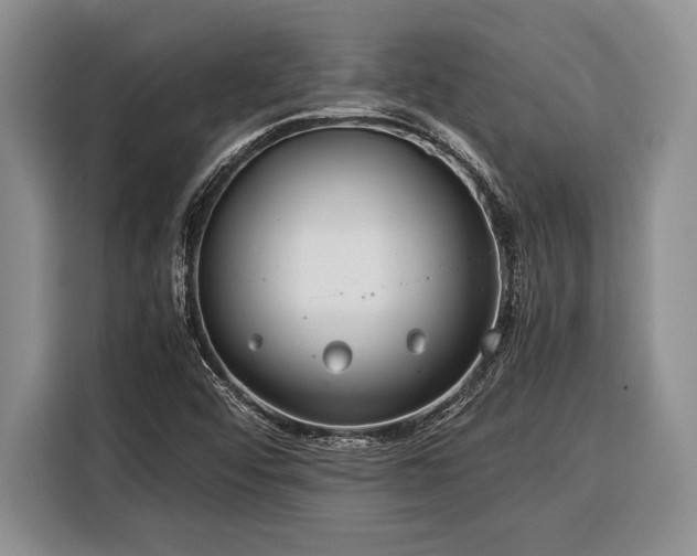 X0000116391456200912091425