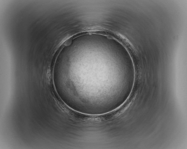 X0000116391457200912091425