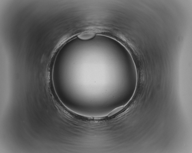 X0000116391459200912091425