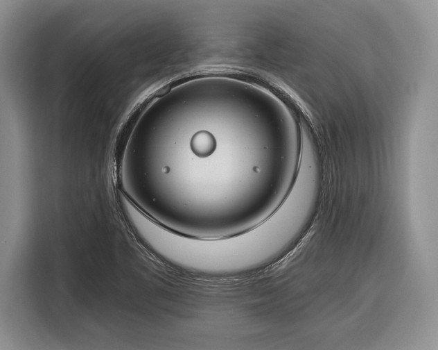 X0000116391461200912091425