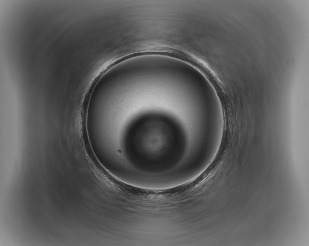 X0000116391463200912091425