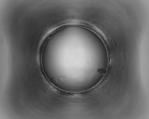 X0000116391464200912091425