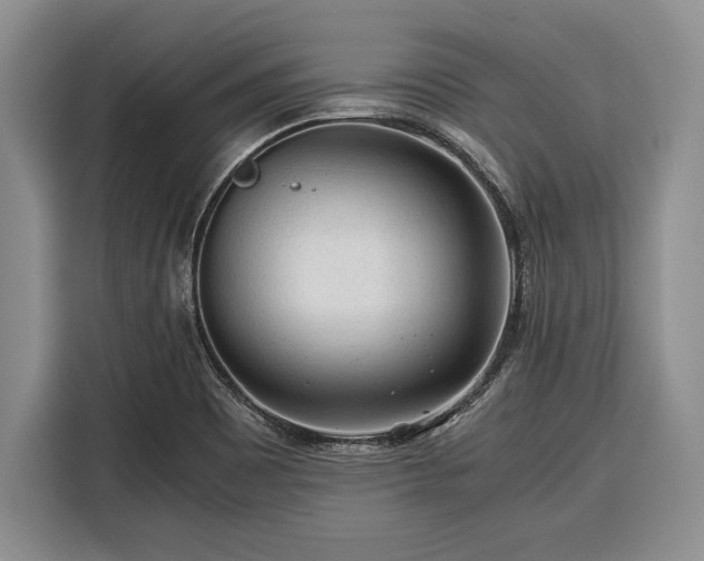 X0000116391465200912091425