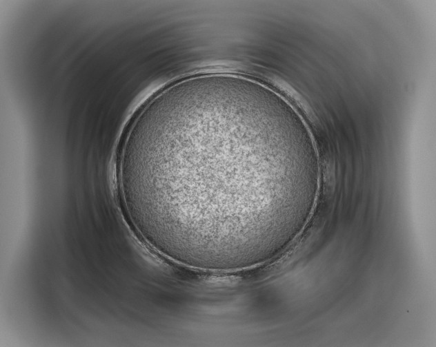 X0000116391466200912091425